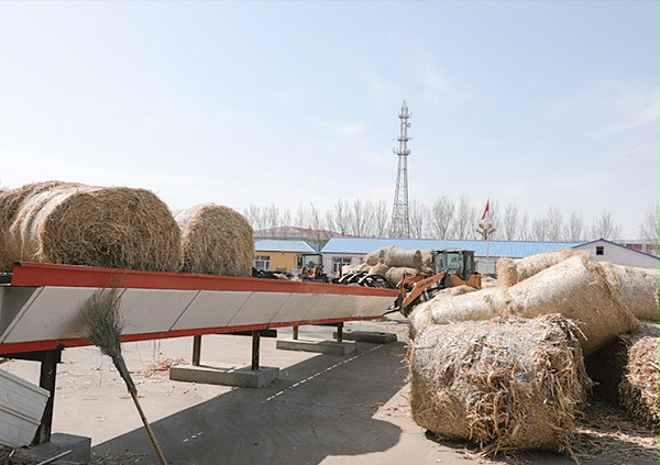 杜尔伯特蒙古自治县江湾乡集中供热秸秆捆烧锅炉改造安装项目