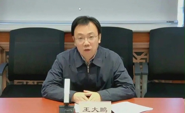 国家能源局新能源和可再生能源司副司长王大鹏